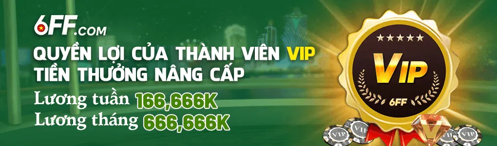 Quyền lợi thành viên VIP 6FF